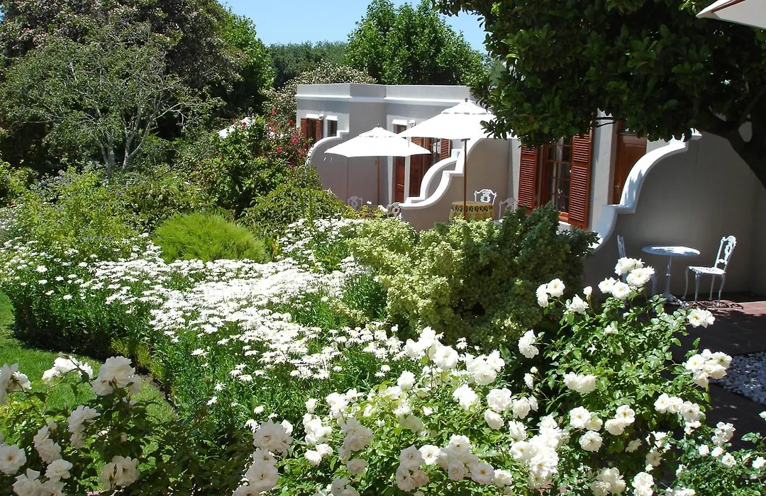 Glen Avon Lodge - Constantia-1